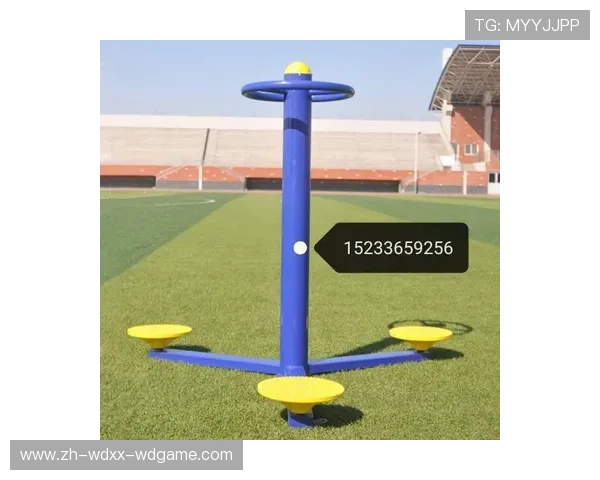 适合老年人使用的健身器材推荐